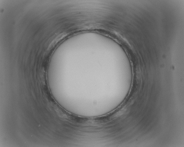 X0000076271265200610262021