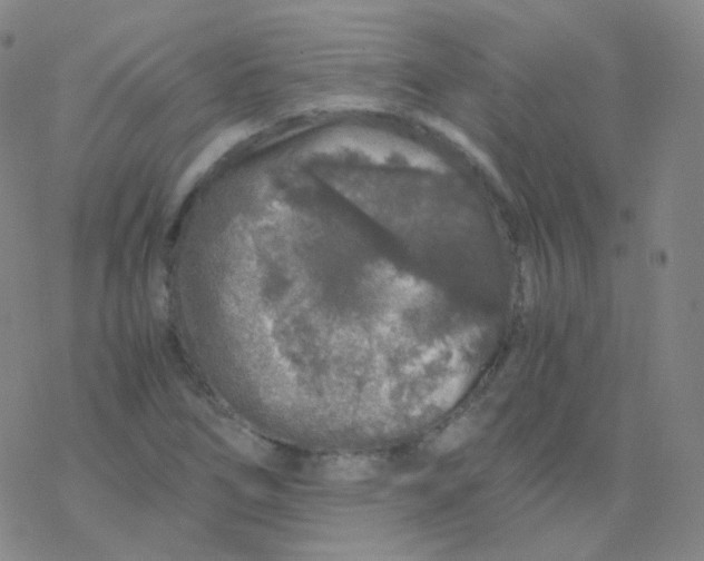 X0000076271266200610262021