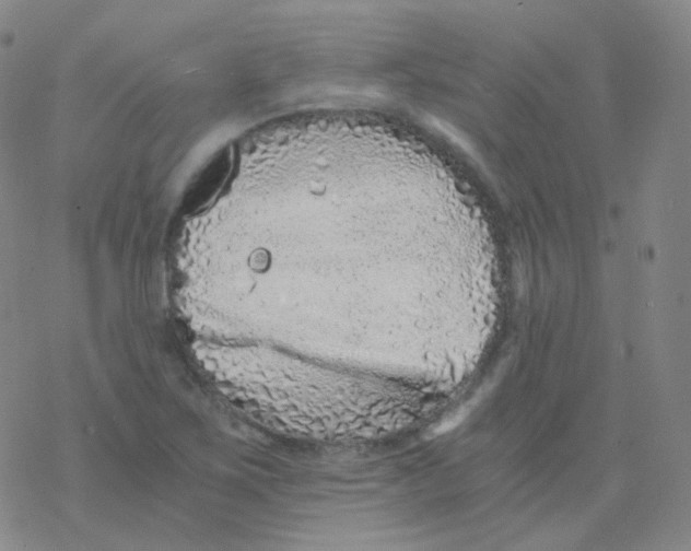 X0000076271267200610262021