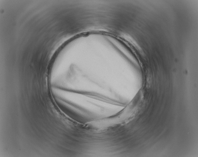 X0000076271268200610262021