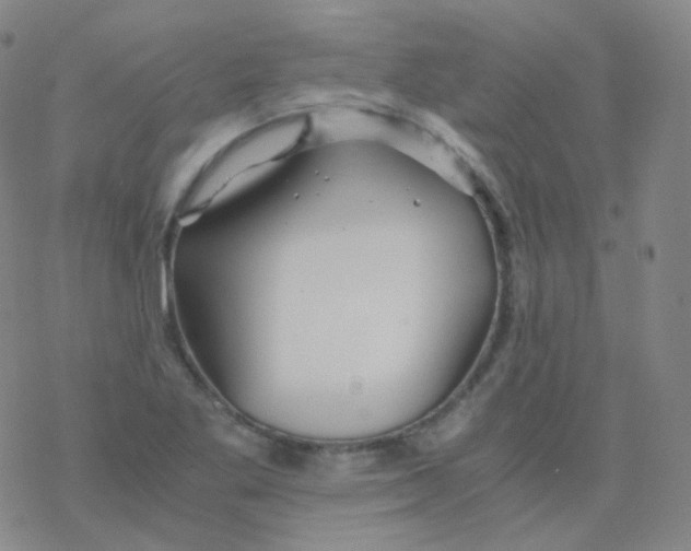 X0000076271269200610262021