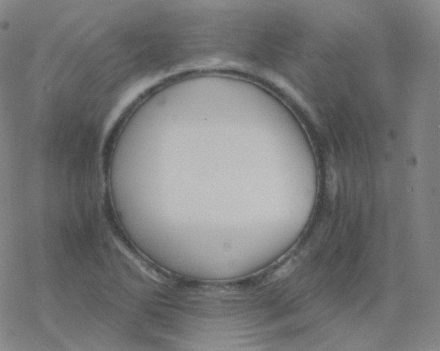 X0000076271270200610262021