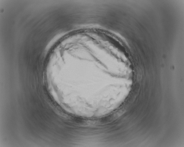 X0000076271271200610262021