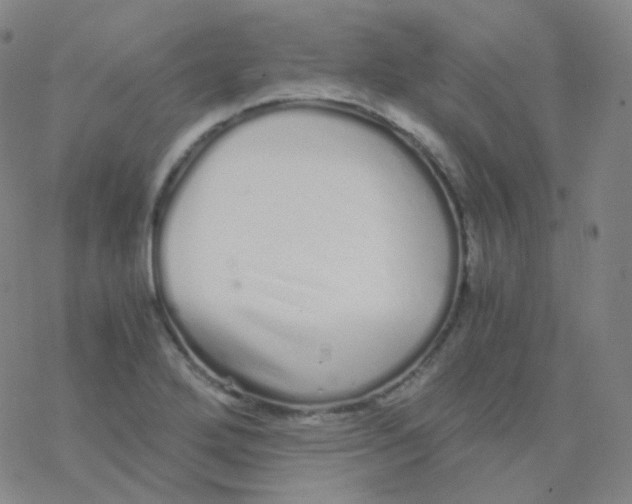 X0000076271272200610262021