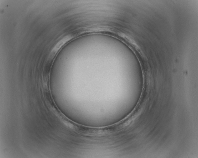 X0000076271273200610262021