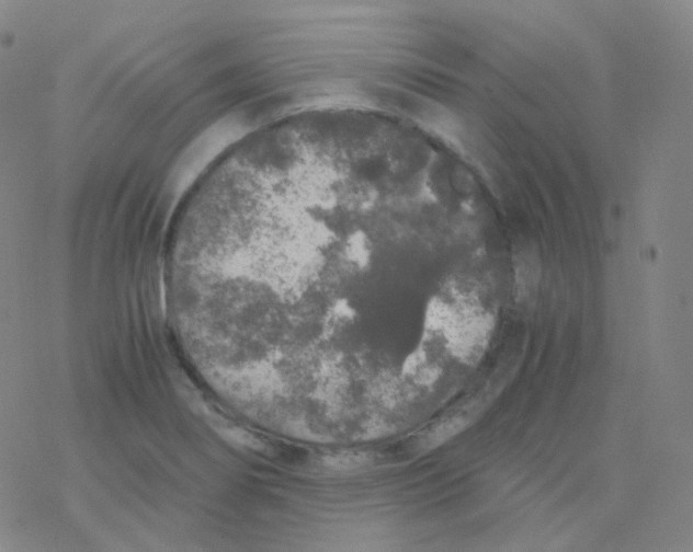 X0000076271274200610262021