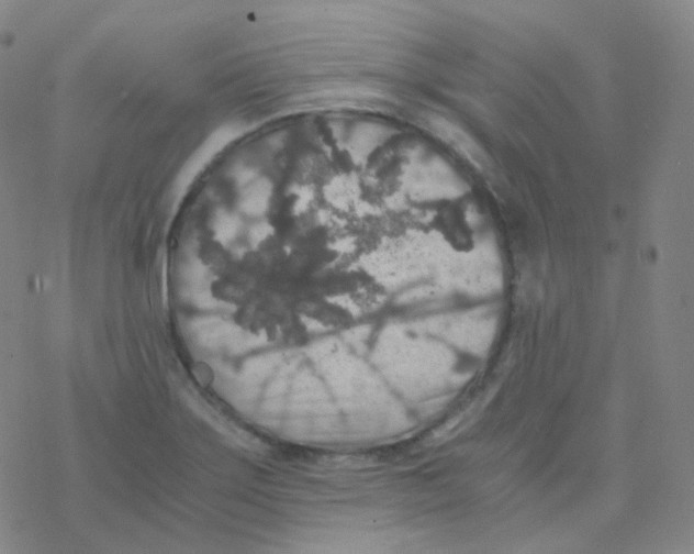 X0000076271275200610262021