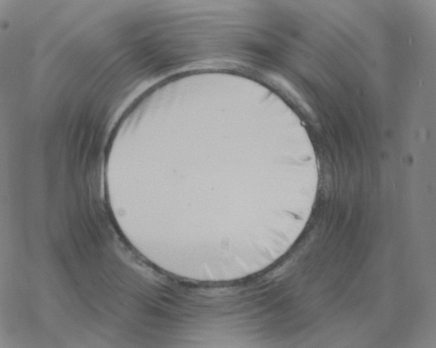 X0000076271276200610262021