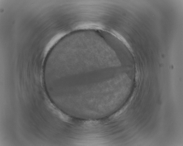 X0000076271277200610262021