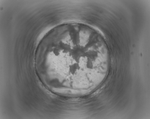 X0000076271279200610262021