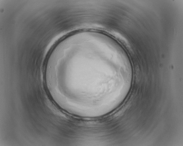 X0000076271280200610262021