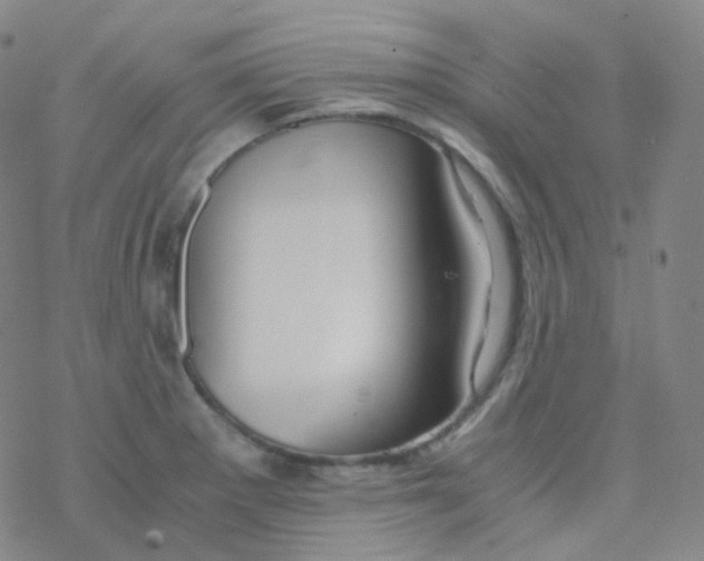 X0000076271281200610262021