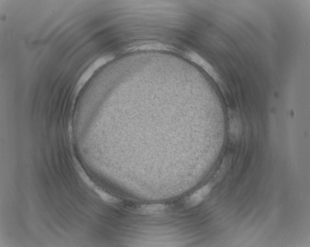 X0000076271282200610262021