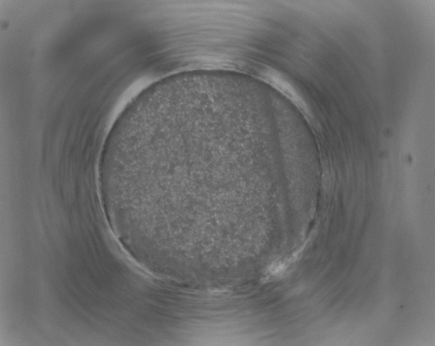 X0000076271283200610262021