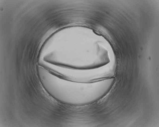 X0000076271284200610262021