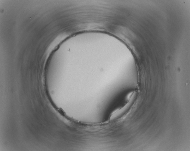 X0000076271285200610262021