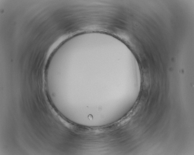 X0000076271286200610262021