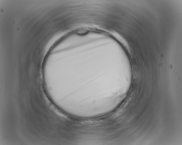 X0000076271287200610262021