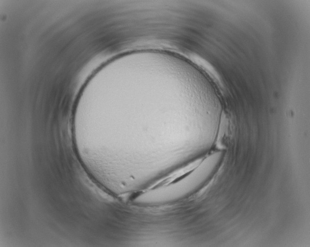 X0000076271288200610262021