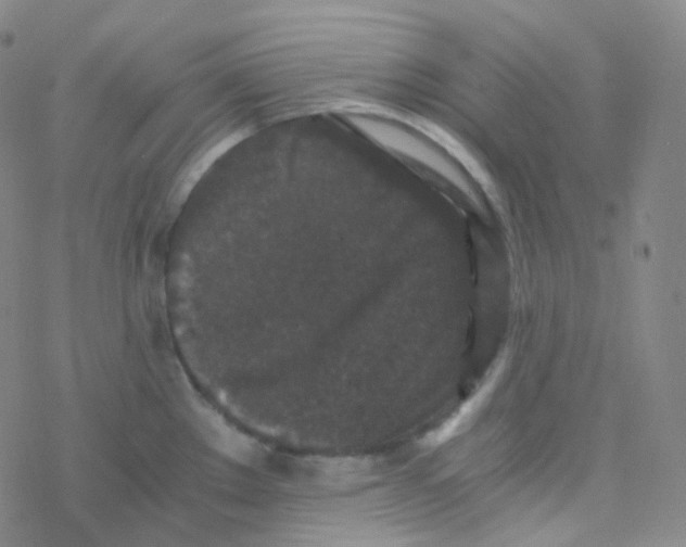 X0000076271289200610262021