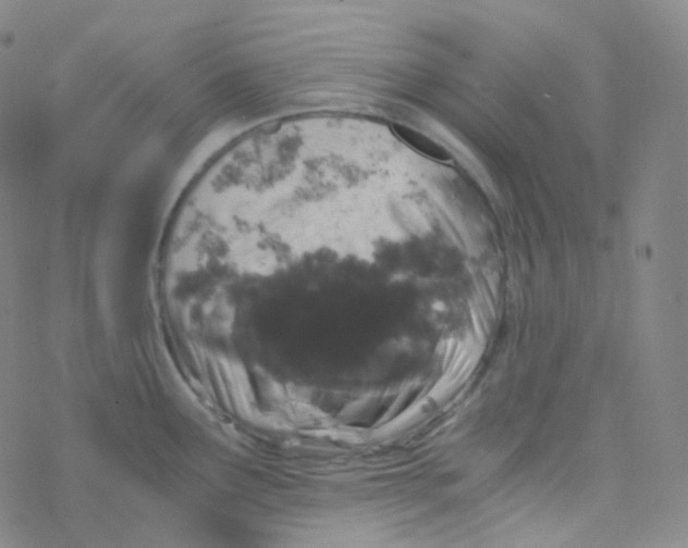 X0000076271291200610262021