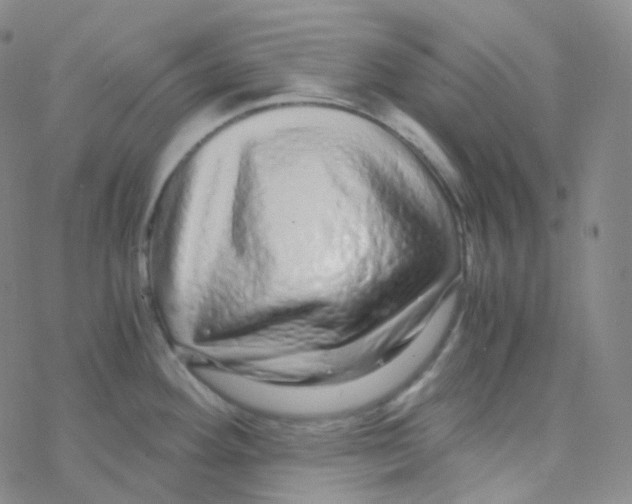 X0000076271292200610262021