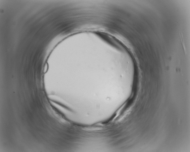 X0000076271296200610262021