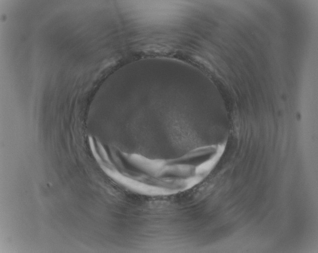 X0000076271297200610262020