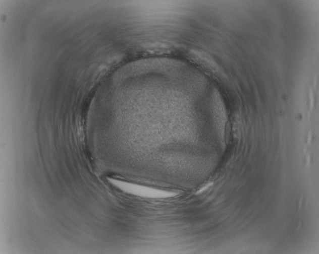 X0000076271298200610262020