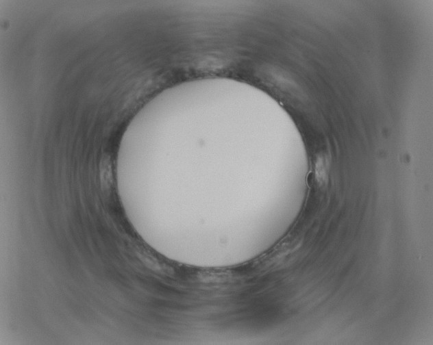 X0000076271299200610262020