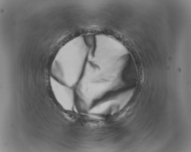 X0000076271301200610262020