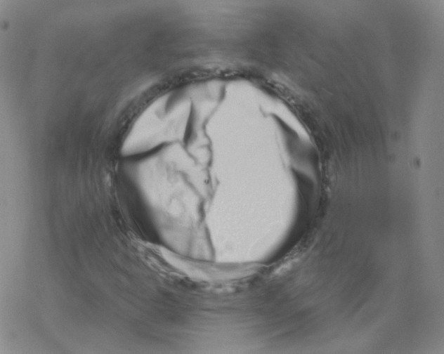 X0000076271302200610262020