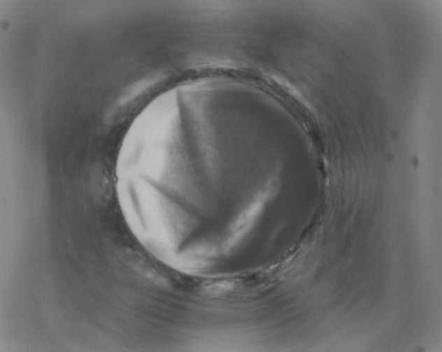 X0000076271303200610262020