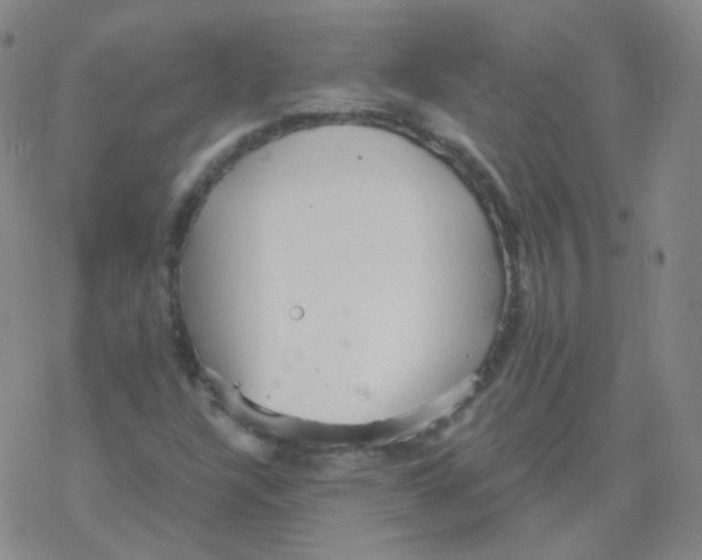 X0000076271304200610262020