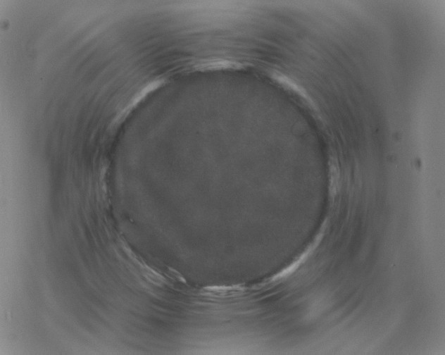 X0000076271305200610262020