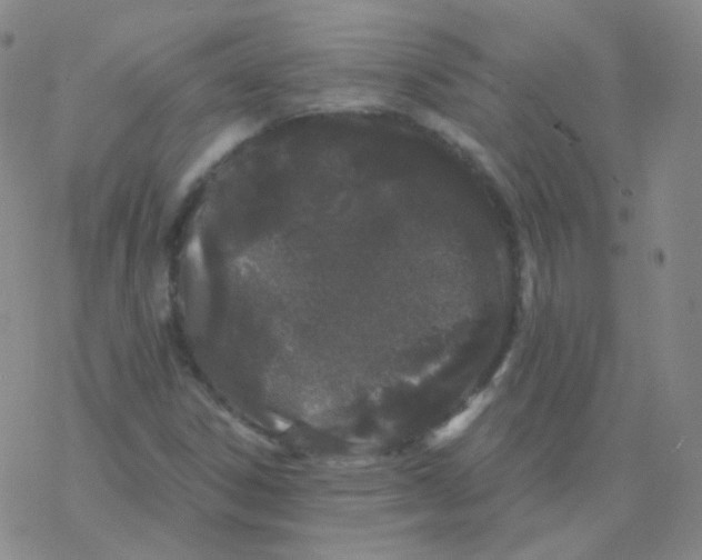 X0000076271306200610262020