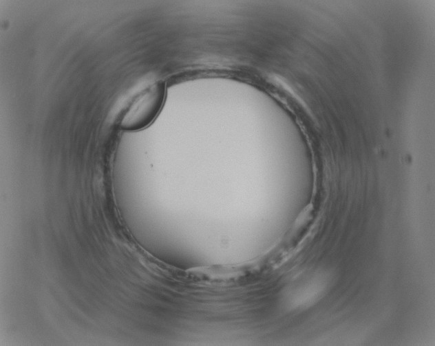 X0000076271307200610262020