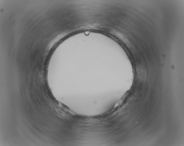 X0000076271308200610262020