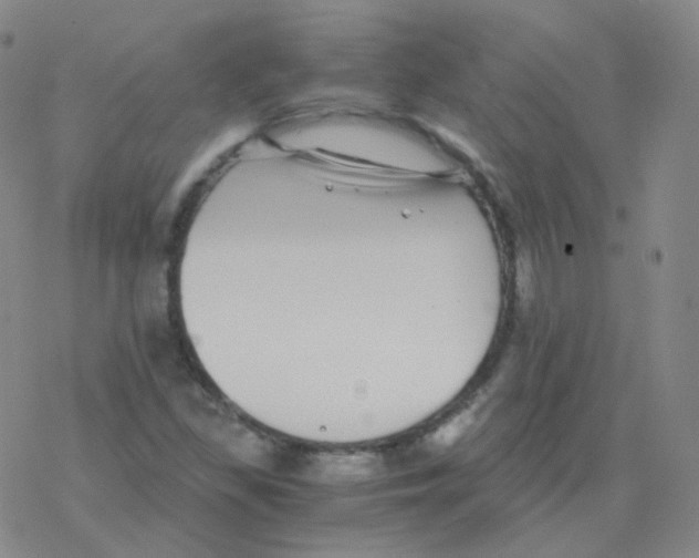 X0000076271309200610262020