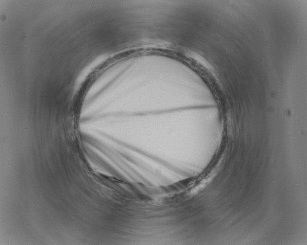 X0000076271310200610262020