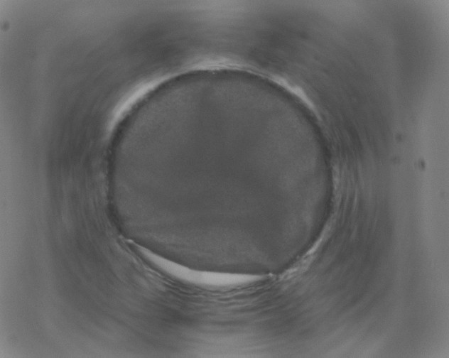 X0000076271311200610262020