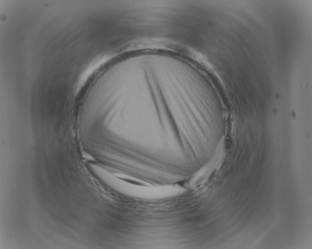 X0000076271312200610262020