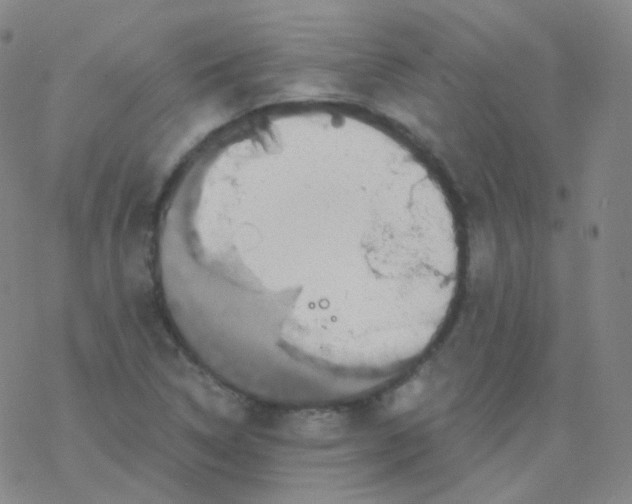 X0000076271314200610262020