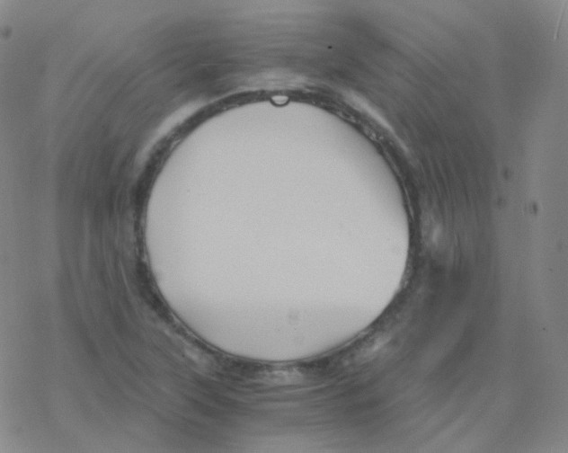 X0000076271315200610262020