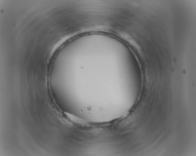 X0000076271316200610262020