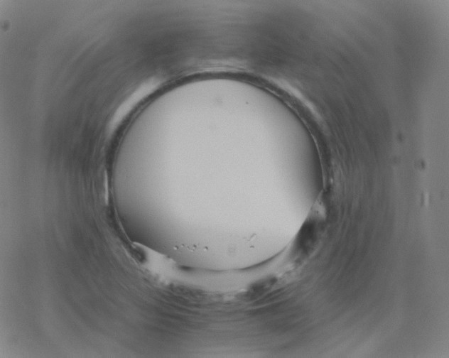 X0000076271317200610262020