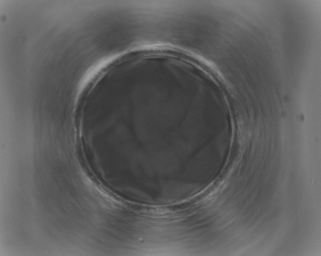 X0000076271319200610262020