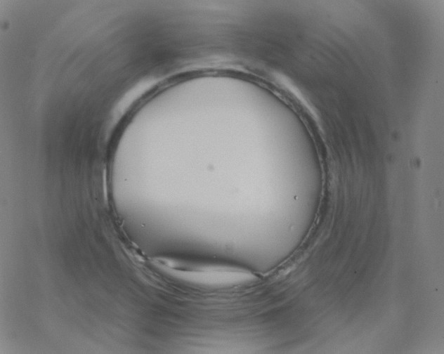 X0000076271320200610262020