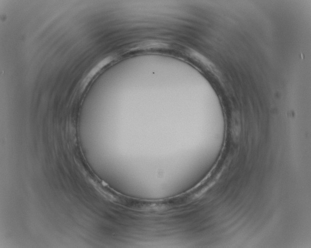 X0000076271321200610262020