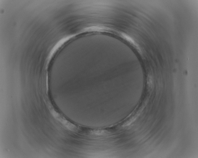 X0000076271323200610262020